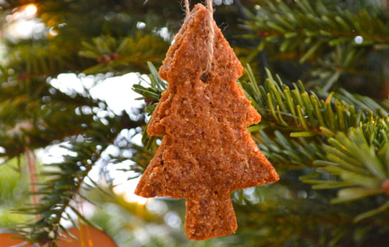 Gluten-Free Gingerbread Christmas Cookies