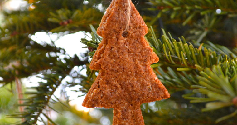 Gluten-Free Gingerbread Christmas Cookies
