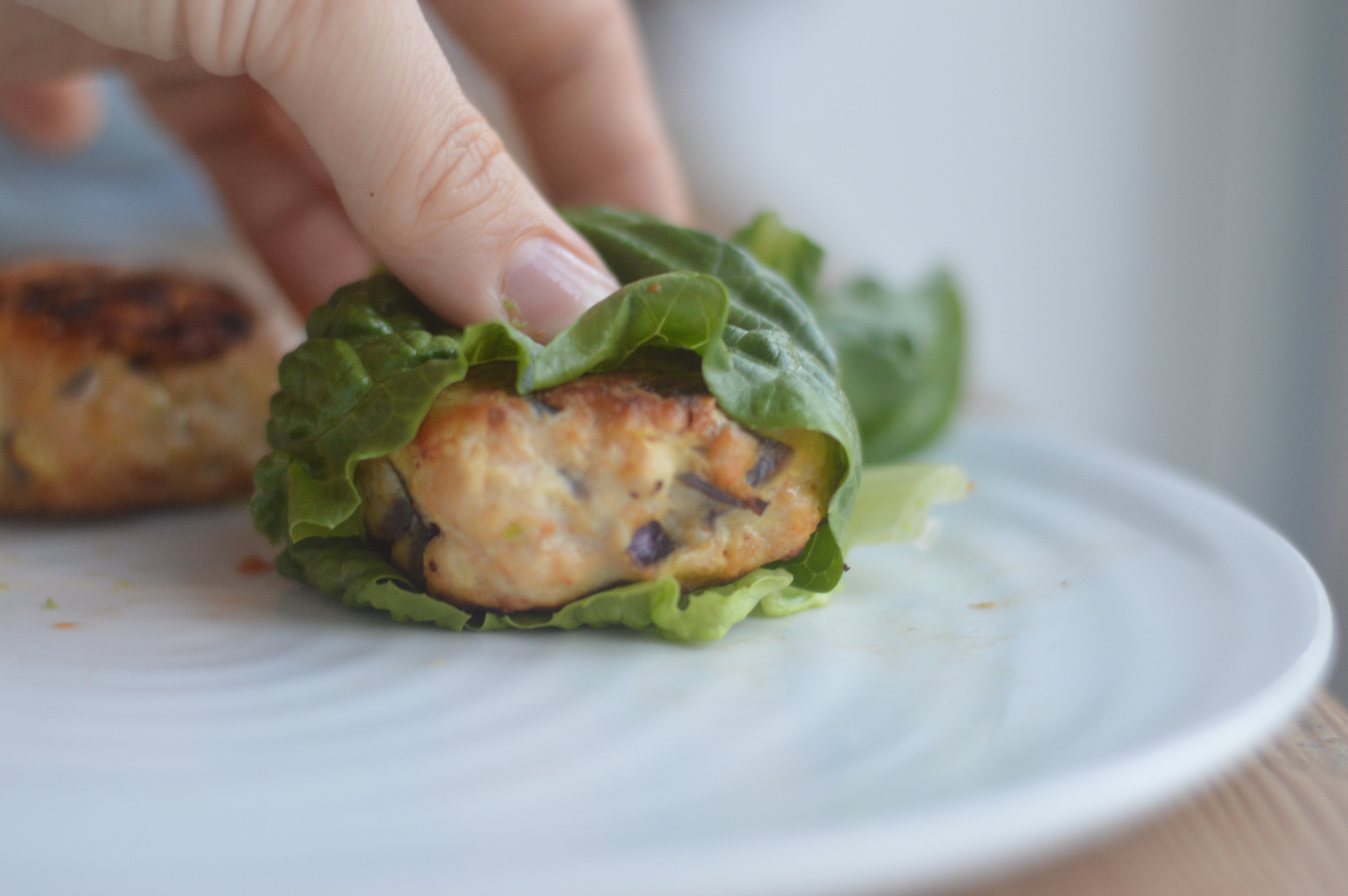Simple Turkey Burgers | THE LOW CARB KITCHEN